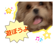 841389711