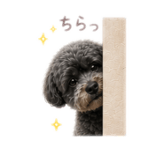841390883
