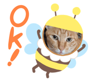 841391300