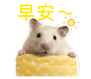 841391355