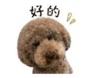 841391873