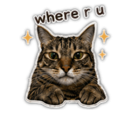 841392419