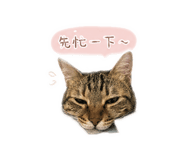 841392569