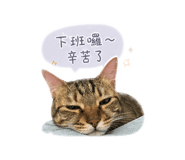 841392571
