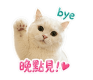 841393309