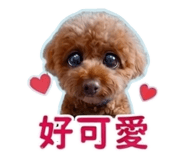 841394330