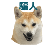 841394394