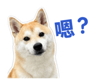 841394398