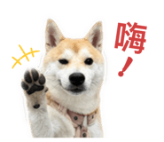 841394399