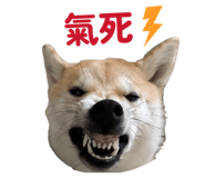 841394404