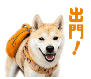 841394407