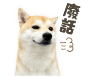 841394413