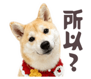 841394428
