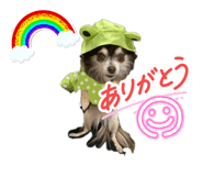 841396566