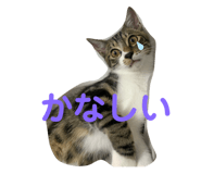 841396598
