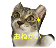 841396600