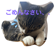 841396601