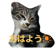 841396607