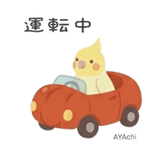 841396628