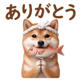 841396636