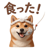 841396644