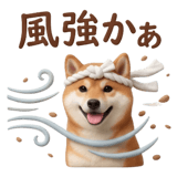 841396662