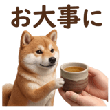 841396668