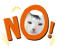 841396820
