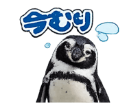 841397606