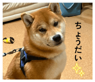 841397650