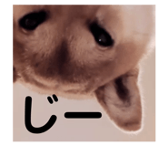 841397653