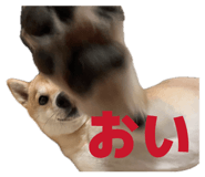 841397922