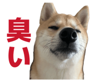 841397924