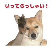 841397926