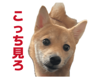 841397931
