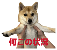 841397935