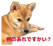 841397936