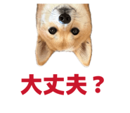 841397941
