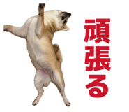 841397943