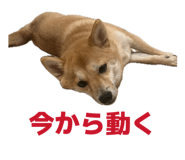841397944