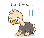 841398033