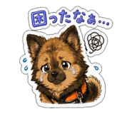841398087