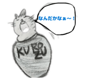 841398554