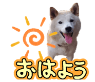 841398793