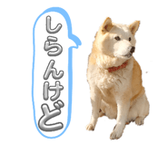 841398798