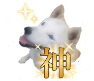 841398799