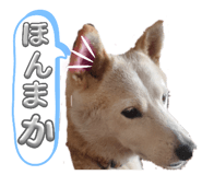 841398800