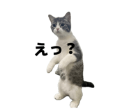 841398994