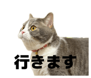 841398995