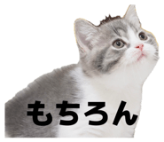 841398997